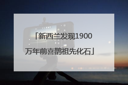 新西兰发现1900万年前喜鹊祖先化石