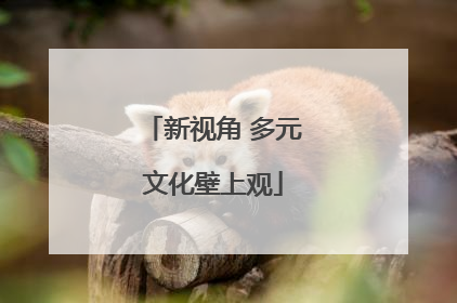 新视角 多元文化壁上观