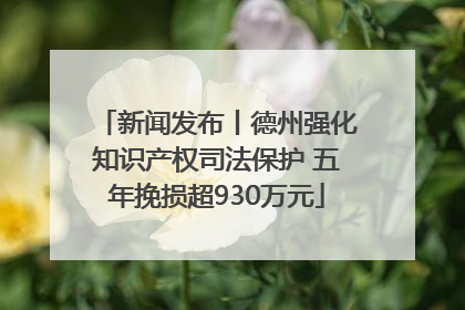 新闻发布丨德州强化知识产权司法保护 五年挽损超930万元