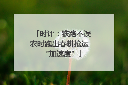 时评：铁路不误农时跑出春耕抢运“加速度”