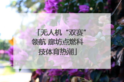 无人机“双赛”领航 廊坊点燃科技体育热潮