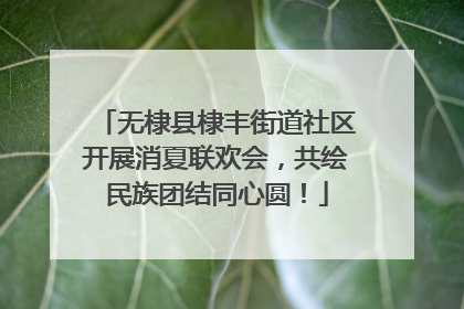 无棣县棣丰街道社区开展消夏联欢会，共绘民族团结同心圆！