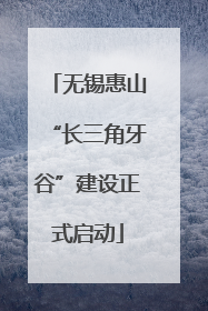 无锡惠山“长三角牙谷”建设正式启动