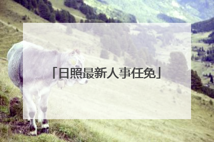日照最新人事任免