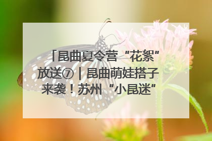 昆曲夏令营“花絮”放送⑦｜昆曲萌娃搭子来袭！苏州“小昆迷”姐弟期待同台演绎“姑苏水磨调”