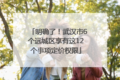 明确了！武汉市6个远城区享有这12个事项定价权限