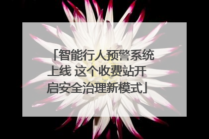 智能行人预警系统上线 这个收费站开启安全治理新模式