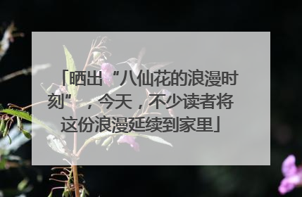 晒出“八仙花的浪漫时刻”，今天，不少读者将这份浪漫延续到家里