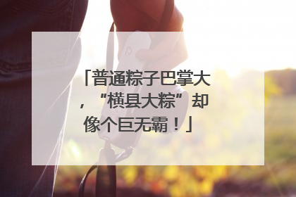 普通粽子巴掌大，“横县大粽”却像个巨无霸！