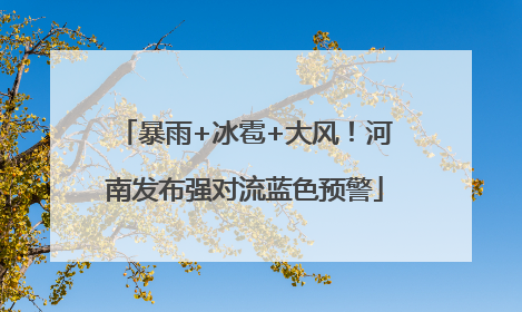 暴雨+冰雹+大风！河南发布强对流蓝色预警