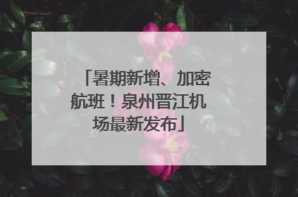 暑期新增、加密航班！泉州晋江机场最新发布