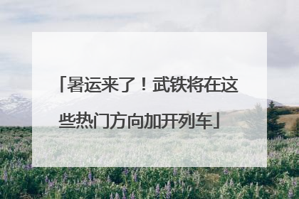 暑运来了！武铁将在这些热门方向加开列车