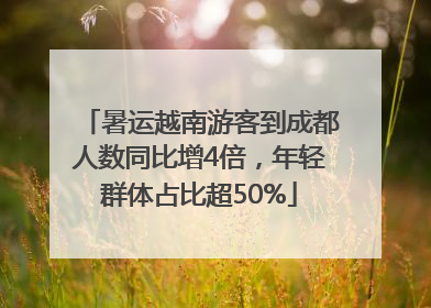 暑运越南游客到成都人数同比增4倍，年轻群体占比超50%