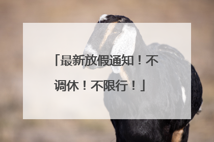 最新放假通知！不调休！不限行！