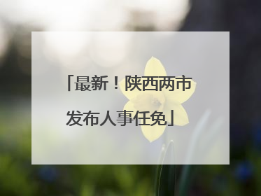 最新！陕西两市发布人事任免