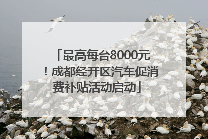 最高每台8000元！成都经开区汽车促消费补贴活动启动