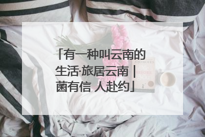 有一种叫云南的生活·旅居云南｜菌有信 人赴约