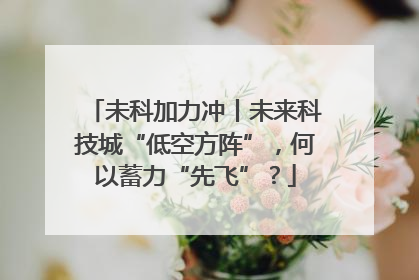 未科加力冲丨未来科技城“低空方阵”，何以蓄力“先飞”？