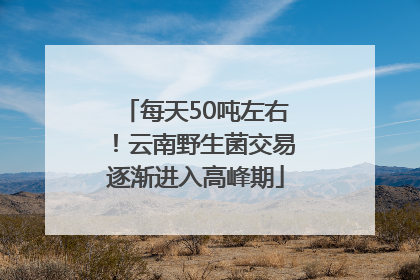每天50吨左右！云南野生菌交易逐渐进入高峰期