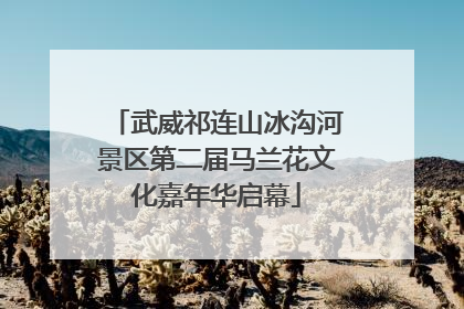 武威祁连山冰沟河景区第二届马兰花文化嘉年华启幕