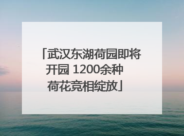 武汉东湖荷园即将开园 1200余种荷花竞相绽放