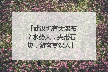 武汉也有大瀑布？水势大，夹带石块，游客莫深入