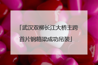 武汉双柳长江大桥主跨首片钢箱梁成功吊装