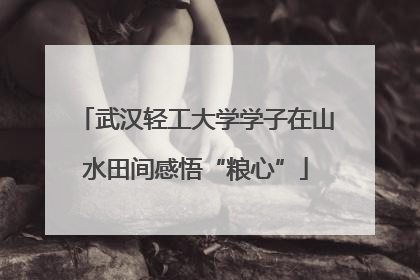 武汉轻工大学学子在山水田间感悟“粮心”