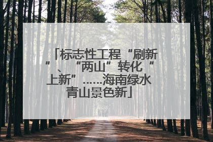标志性工程“刷新”、“两山”转化“上新”……海南绿水青山景色新