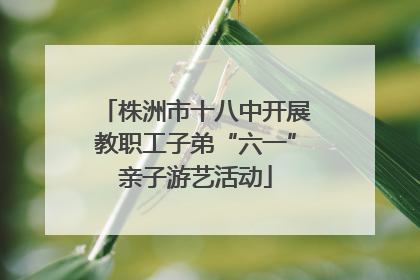 株洲市十八中开展教职工子弟“六一”亲子游艺活动