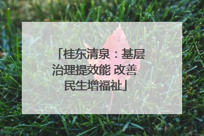 桂东清泉：基层治理提效能 改善民生增福祉