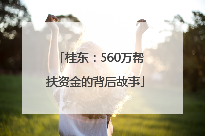 桂东：560万帮扶资金的背后故事