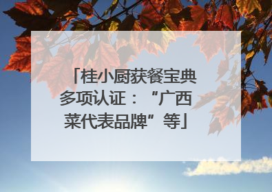 桂小厨获餐宝典多项认证：“广西菜代表品牌”等
