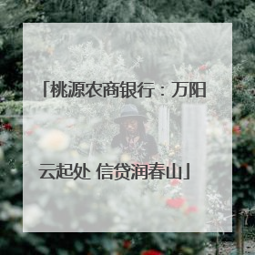 桃源农商银行：万阳云起处 信贷润春山