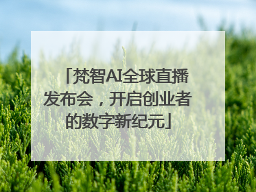 梵智AI全球直播发布会，开启创业者的数字新纪元