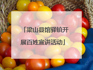 梁山县馆驿镇开展百姓宣讲活动