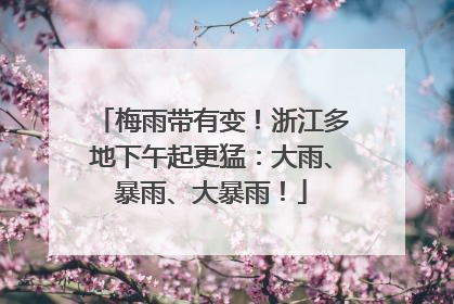 梅雨带有变！浙江多地下午起更猛：大雨、暴雨、大暴雨！