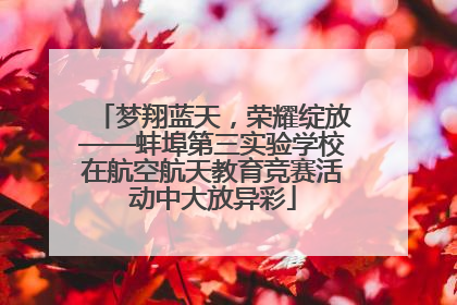 梦翔蓝天，荣耀绽放——蚌埠第三实验学校在航空航天教育竞赛活动中大放异彩