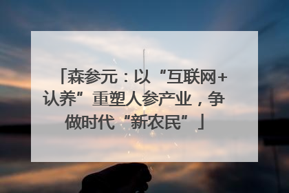 森参元：以“互联网+认养”重塑人参产业，争做时代“新农民”