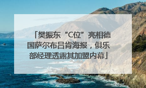 樊振东“C位”亮相德国萨尔布吕肯海报，俱乐部经理透露其加盟内幕