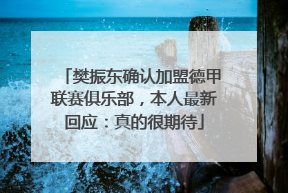 樊振东确认加盟德甲联赛俱乐部，本人最新回应：真的很期待