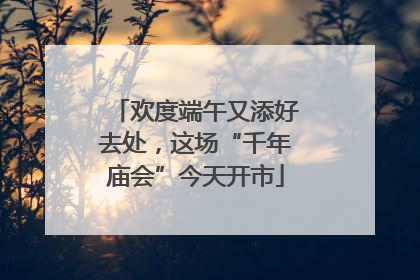 欢度端午又添好去处，这场“千年庙会”今天开市