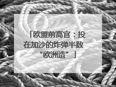 欧盟前高官：投在加沙的炸弹半数“欧洲造”