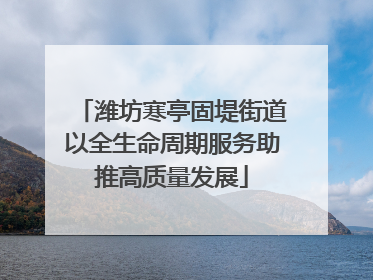 潍坊寒亭固堤街道以全生命周期服务助推高质量发展