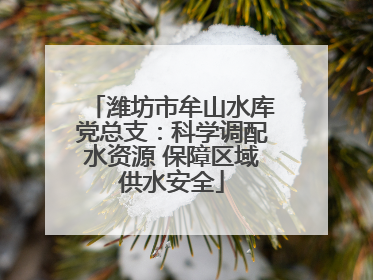 潍坊市牟山水库党总支：科学调配水资源 保障区域供水安全