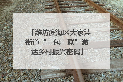 潍坊滨海区大家洼街道“三包三联”激活乡村振兴密码