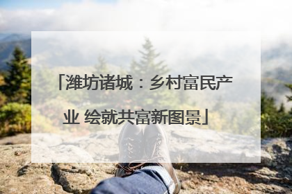 潍坊诸城：乡村富民产业 绘就共富新图景