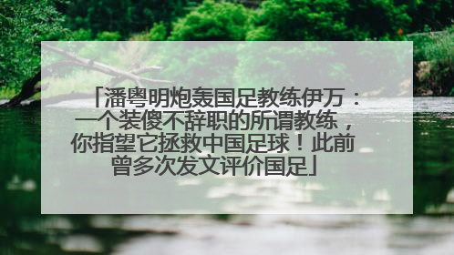 潘粤明炮轰国足教练伊万：一个装傻不辞职的所谓教练，你指望它拯救中国足球！此前曾多次发文评价国足