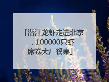 潜江龙虾走进北京，100000只虾席卷大厂餐桌