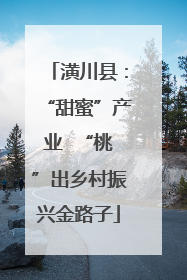 潢川县：“甜蜜”产业  “桃”出乡村振兴金路子